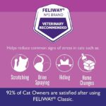FELIWAY® Classic 3 x 30 Day Cat Calming Refills for Pheromone Diffuser, 3 x 48ml Value Pack - Helps Reduce Common Signs of Stress in Cats & Kittens, Enhanced Calming - Image 3